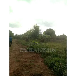 Shamba Ekari 5 Linauzwa Soga Mkoa Wa Pwani