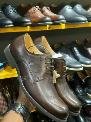 Brown Clarks New Footwears/Shoes Original