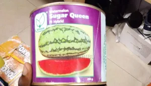 Watermelon F1 Hybrid