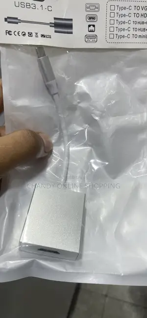 Type C to HDMI Converter Cable