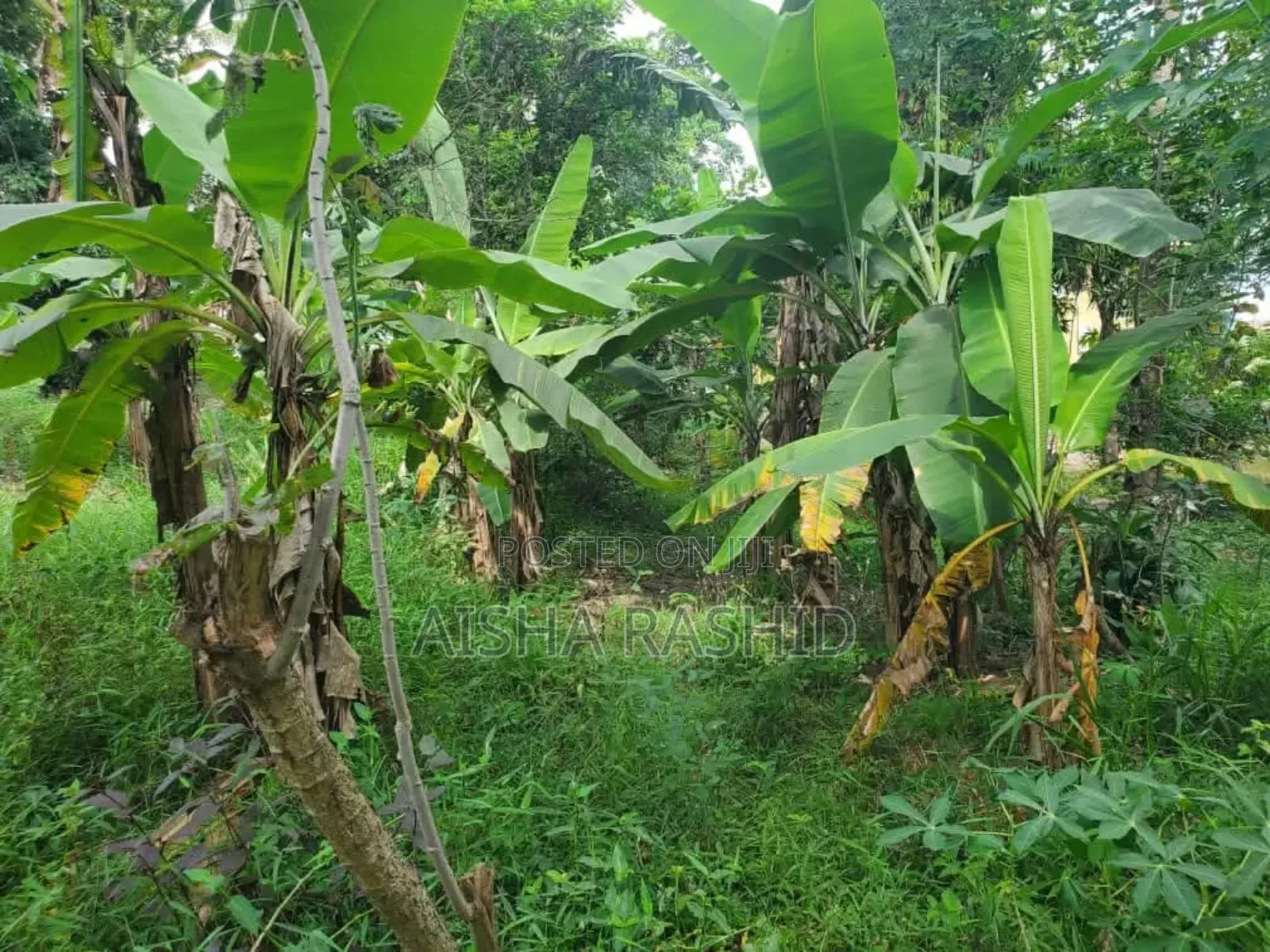 Kiwanja Kwa Makazi