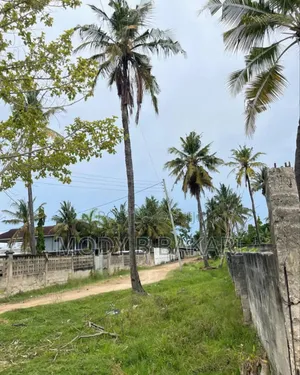 Plot for Sale