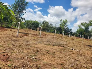 Plot for Sale at Madale Nyakasangwe