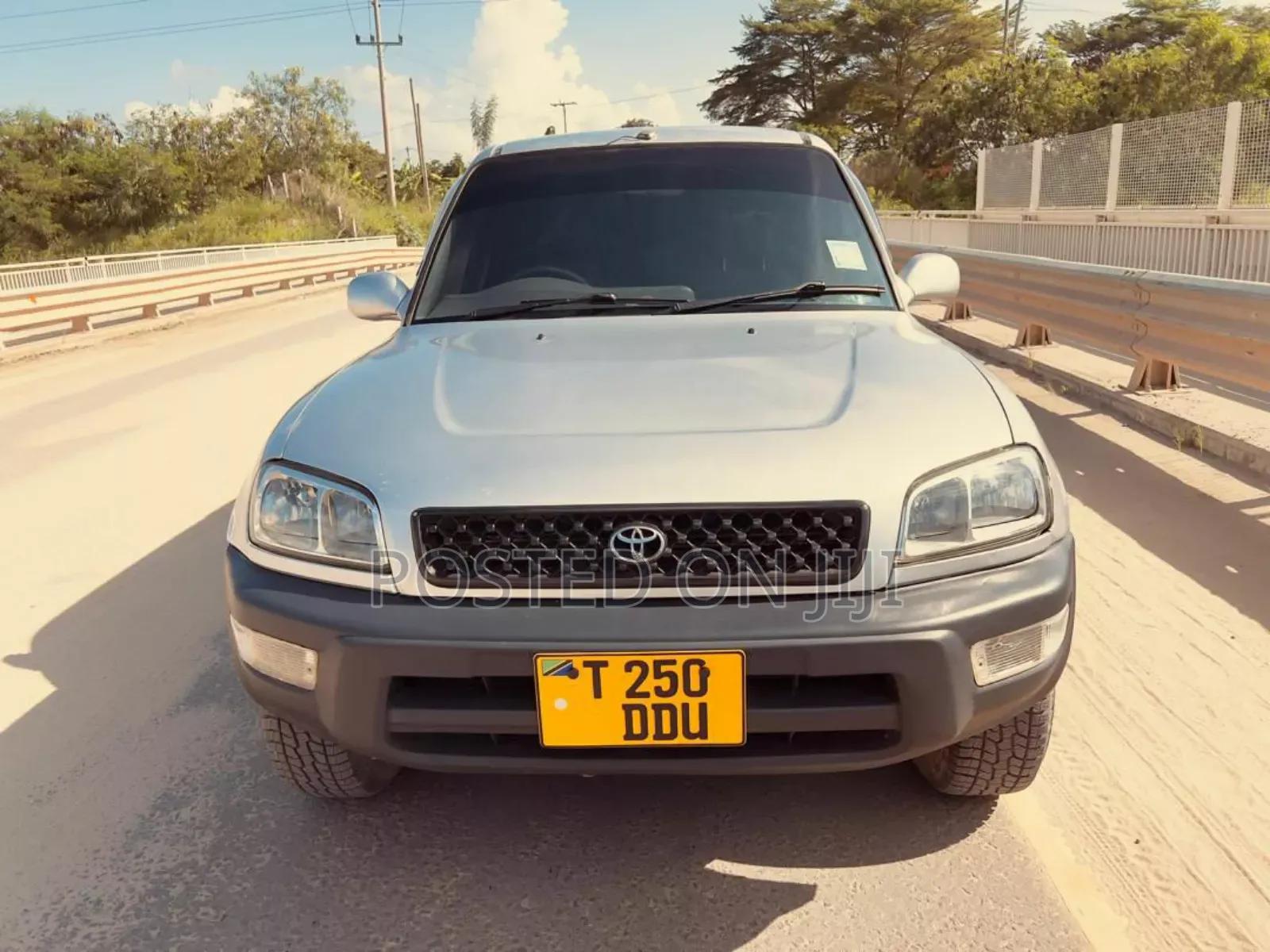 Toyota RAV4 2002 Gray