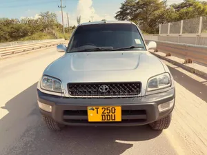 Toyota RAV4 2002 Gray
