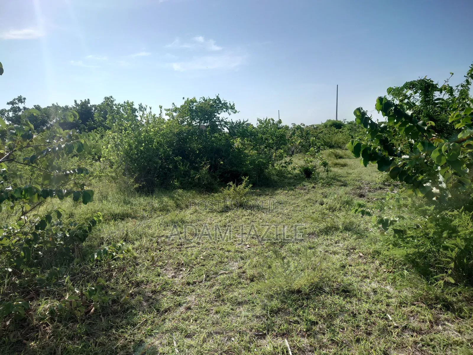 Kiwanja Kinauzwa Bagamoyo
