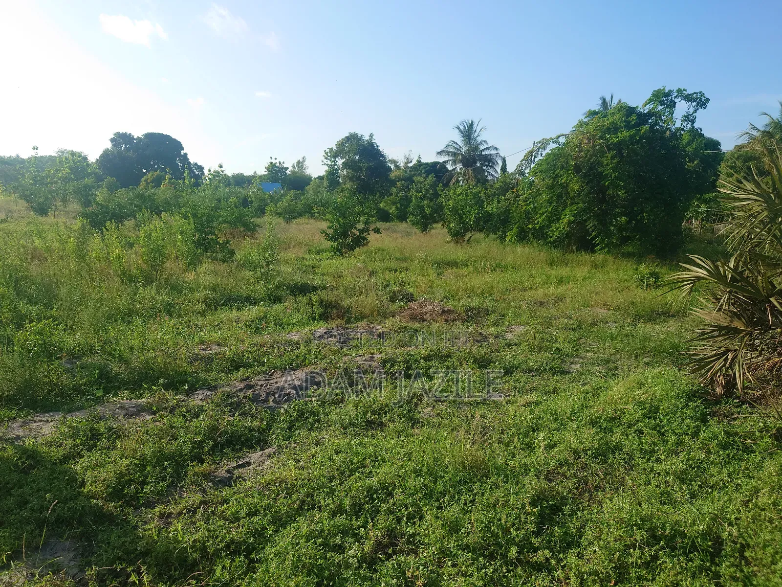 Kiwanja Kinauzwa Bagamoyo