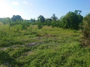Kiwanja Kinauzwa Bagamoyo