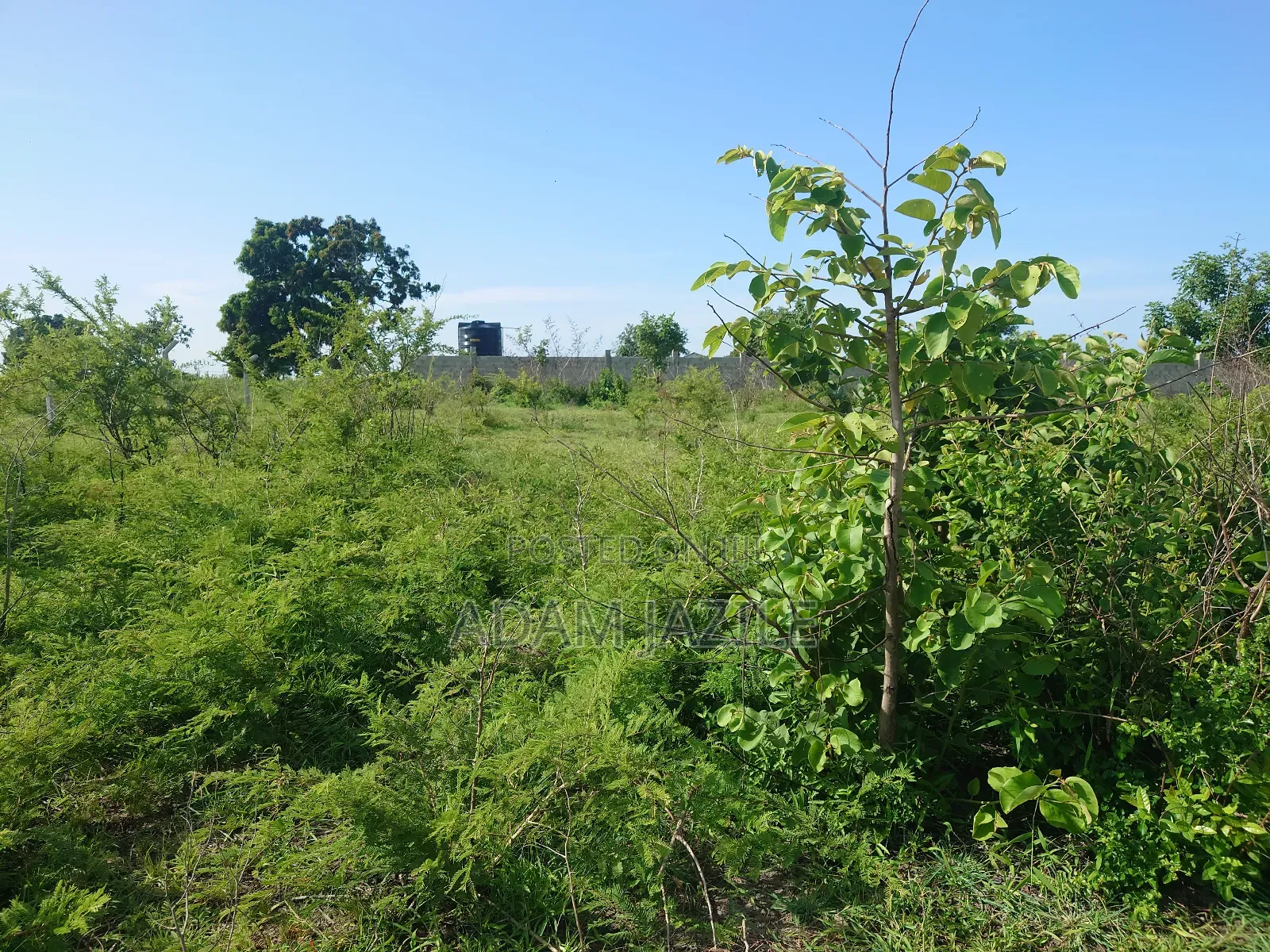 Kiwanja Kinauzwa Bagamoyo