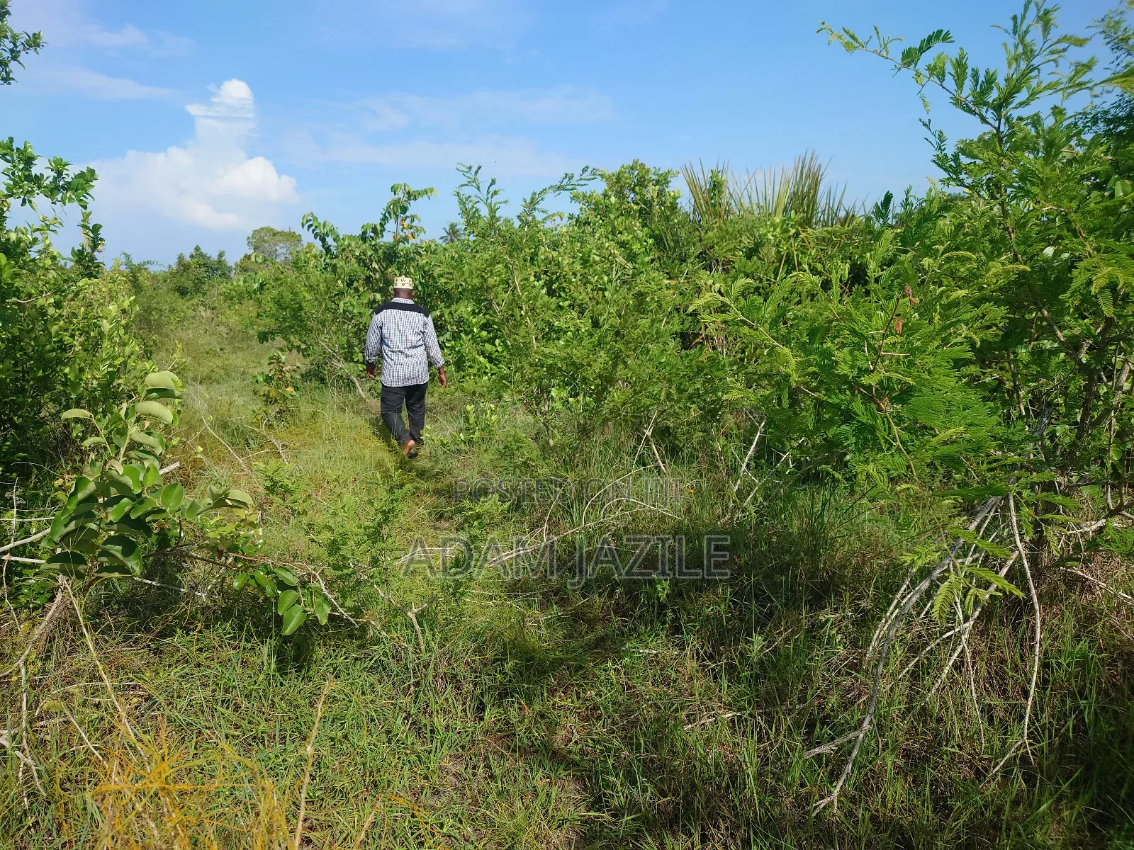 Kiwanja Kinauzwa Bagamoyo