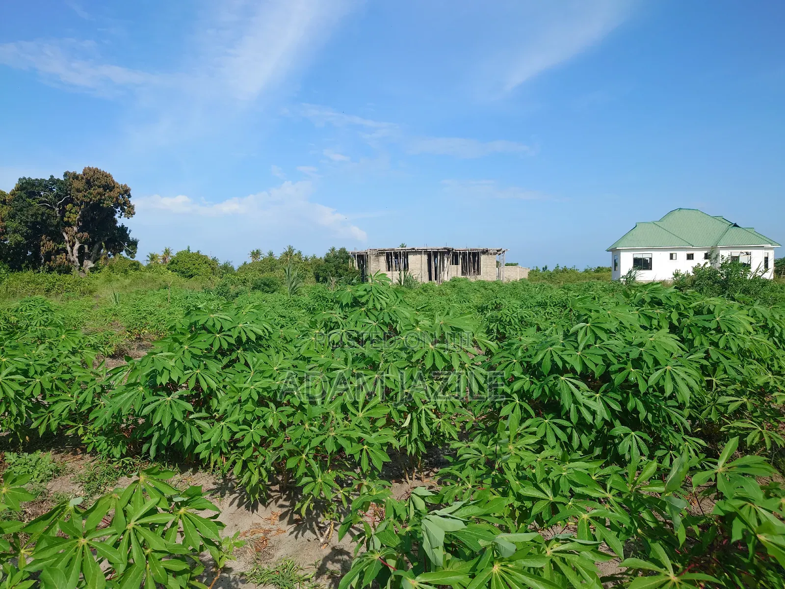 Kiwanja Kinauzwa Bagamoyo Kaole