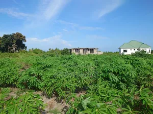Kiwanja Kinauzwa Bagamoyo Kaole
