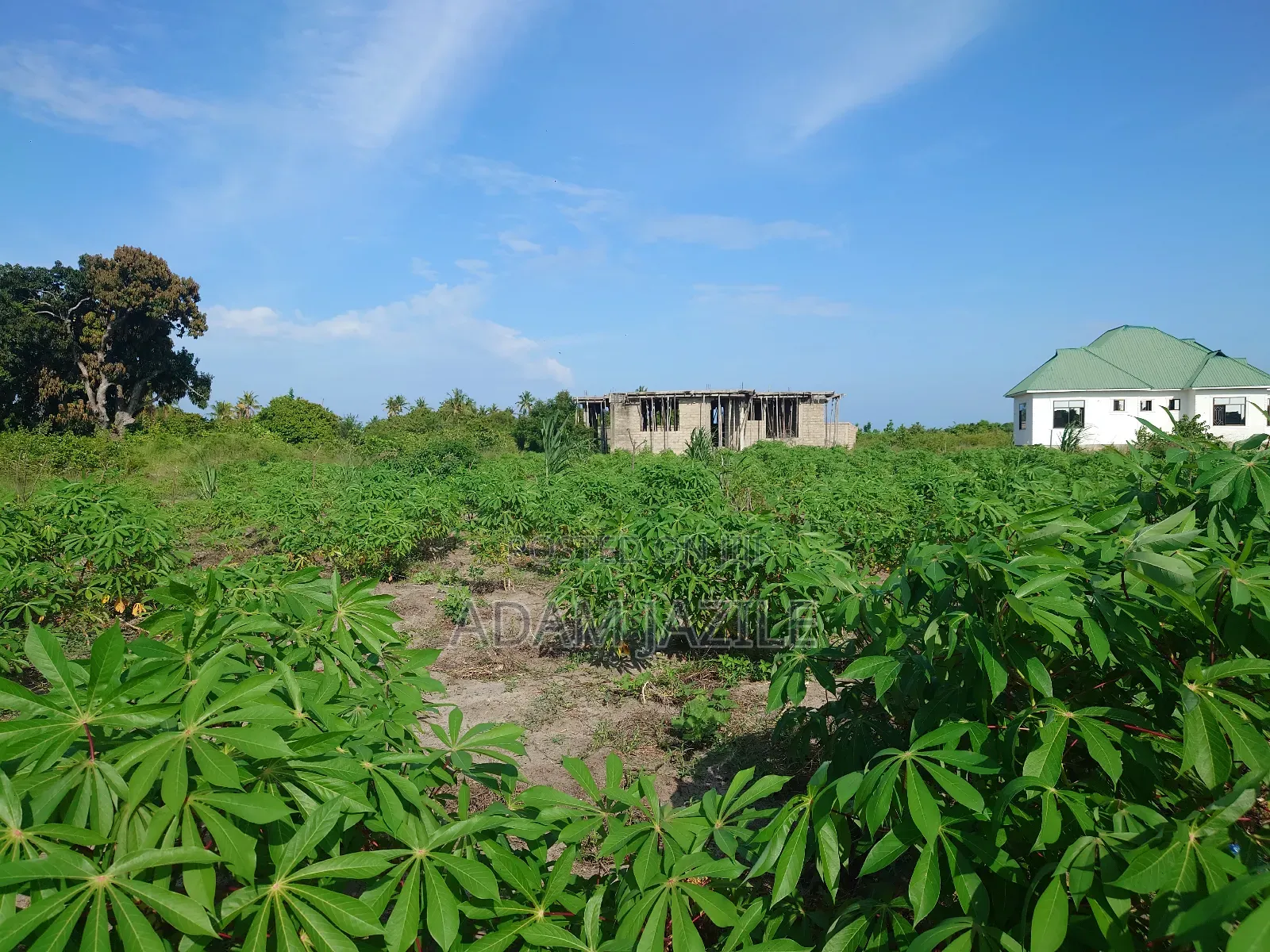 Kiwanja Kinauzwa Bagamoyo Kaole