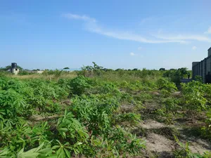Kiwanja Kinauzwa Bagamoyo Kaole