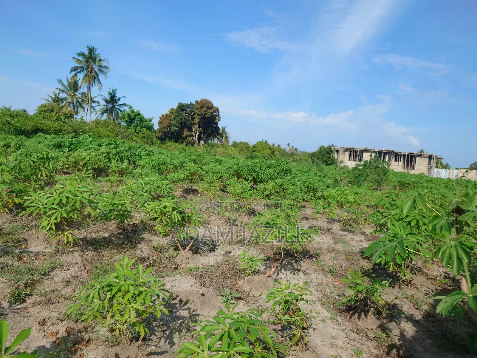 Kiwanja Kinauzwa Bagamoyo Kaole