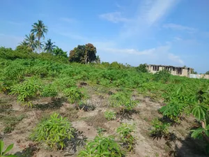 Kiwanja Kinauzwa Bagamoyo Kaole