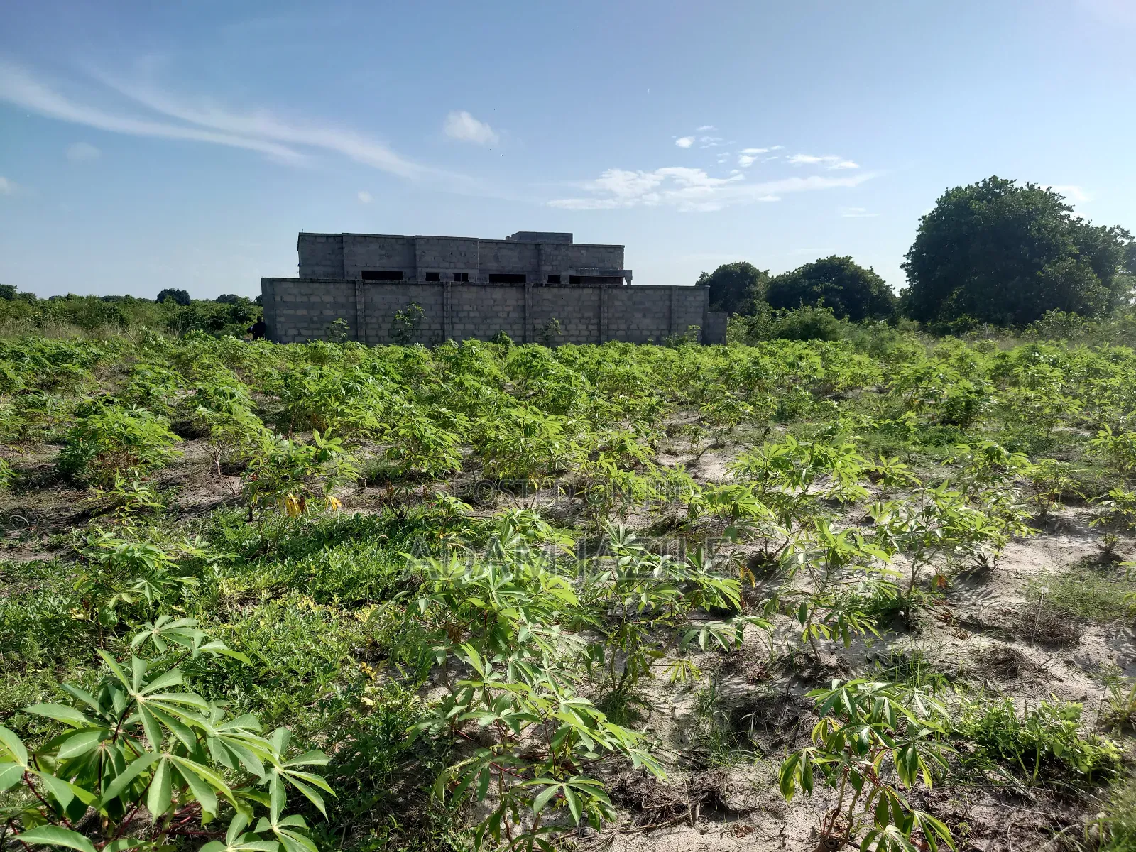 Kiwanja Kinauzwa Bagamoyo Kaole
