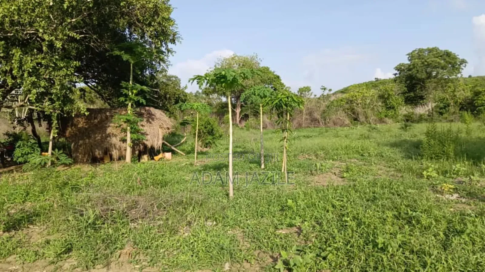 Shamba La Ekari 30 Linauzwa Masuguru Kiwangwa