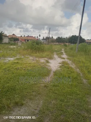Eneo La Kibiashara Linauzwa Milioni 250 Majohe Kichangani.