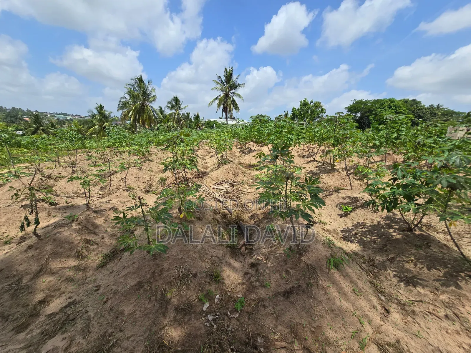 Plot 4sale at Mbweni Mpiji