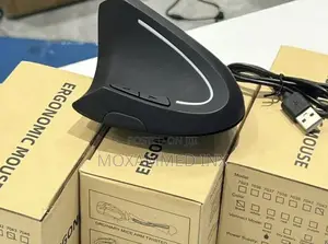 Ergonomic Mouse