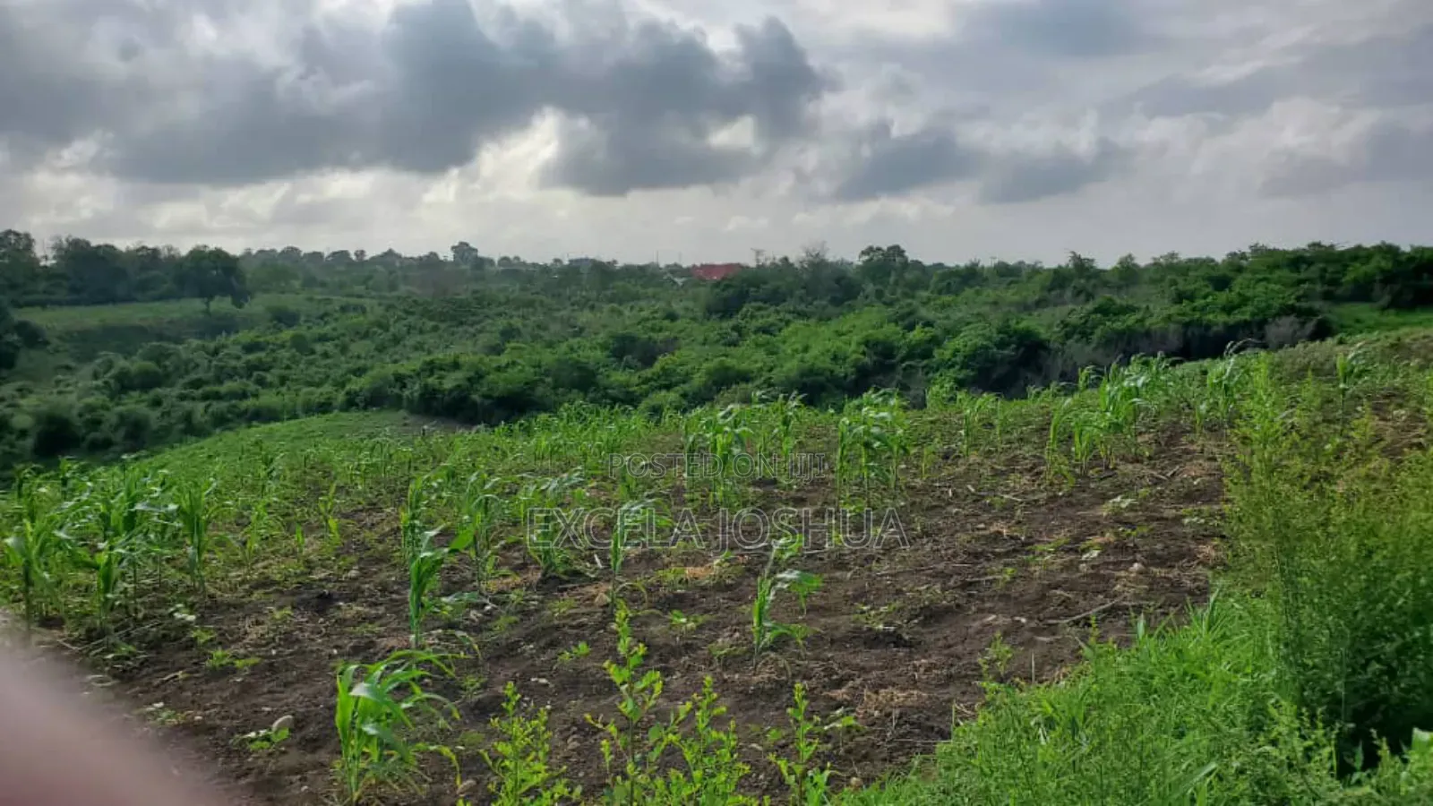 Shamba Ekari 10 Linauzwa Bagamoyo Mwetemo Hotel