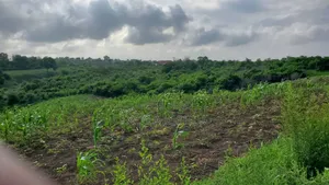 Shamba Ekari 10 Linauzwa Bagamoyo Mwetemo Hotel