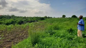 Shamba Ekari 10 Linauzwa Bagamoyo Mwetemo Hotel