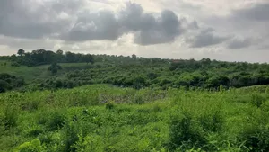 Shamba Ekari 10 Linauzwa Bagamoyo Mwetemo Hotel