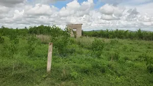 Shamba Ekar 100 Linauzwa Bagamoyo Mwetemo Hotel