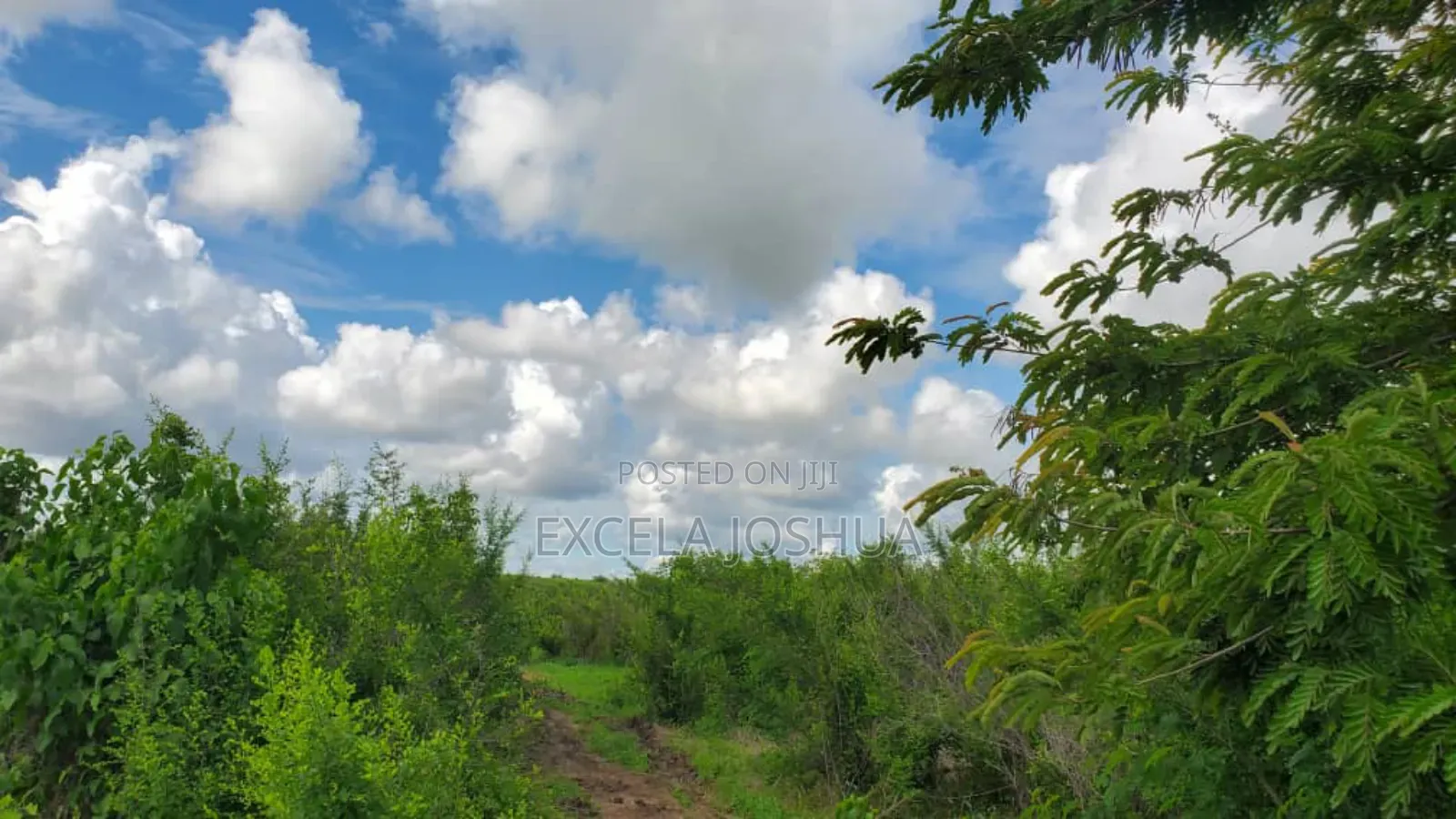 Shamba Ekar 100 Linauzwa Bagamoyo Mwetemo Hotel