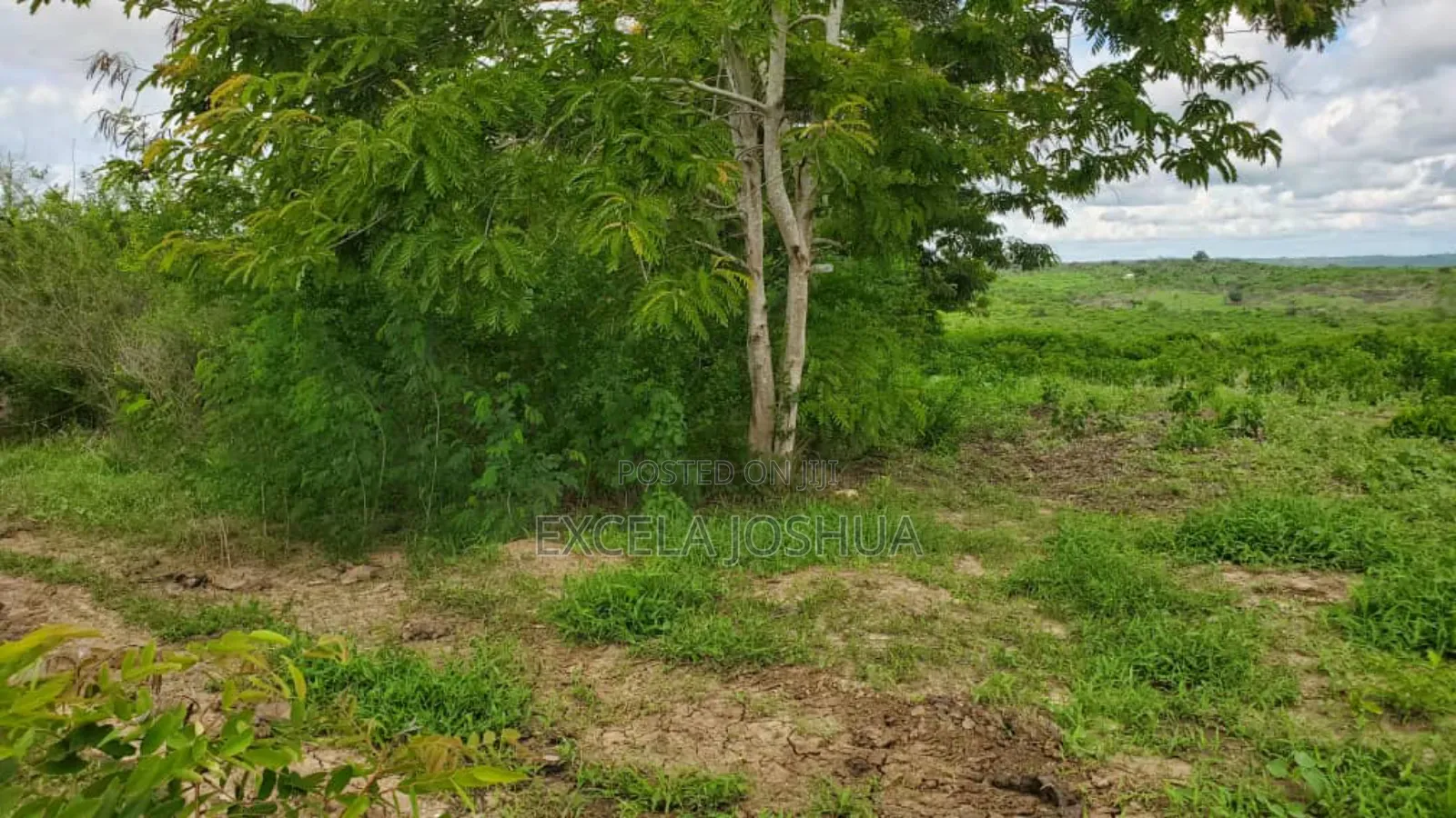 Shamba Ekar 100 Linauzwa Bagamoyo Mwetemo Hotel