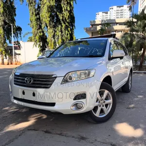 Toyota Vanguard 2009 Pearl