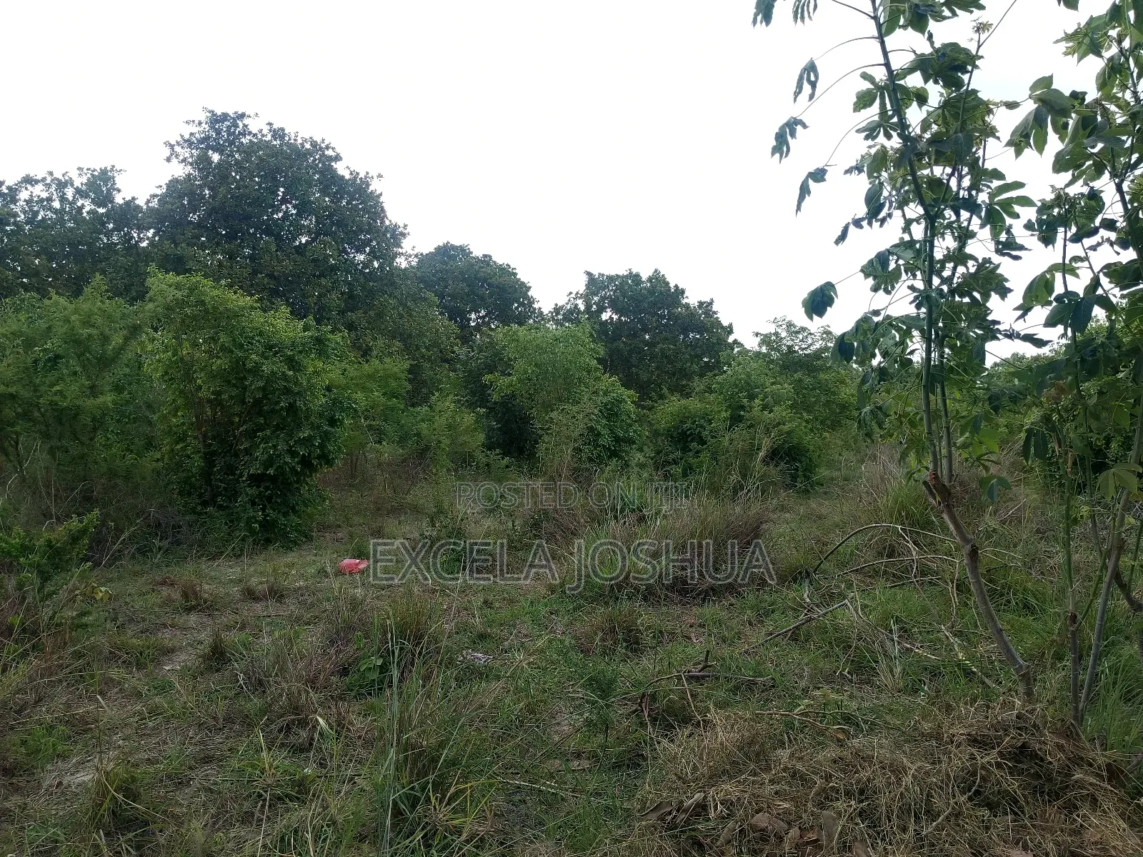 Viwanja Vinauzwa Bagamoyo Fukayosi