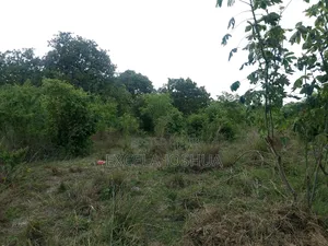 Viwanja Vinauzwa Bagamoyo Fukayosi