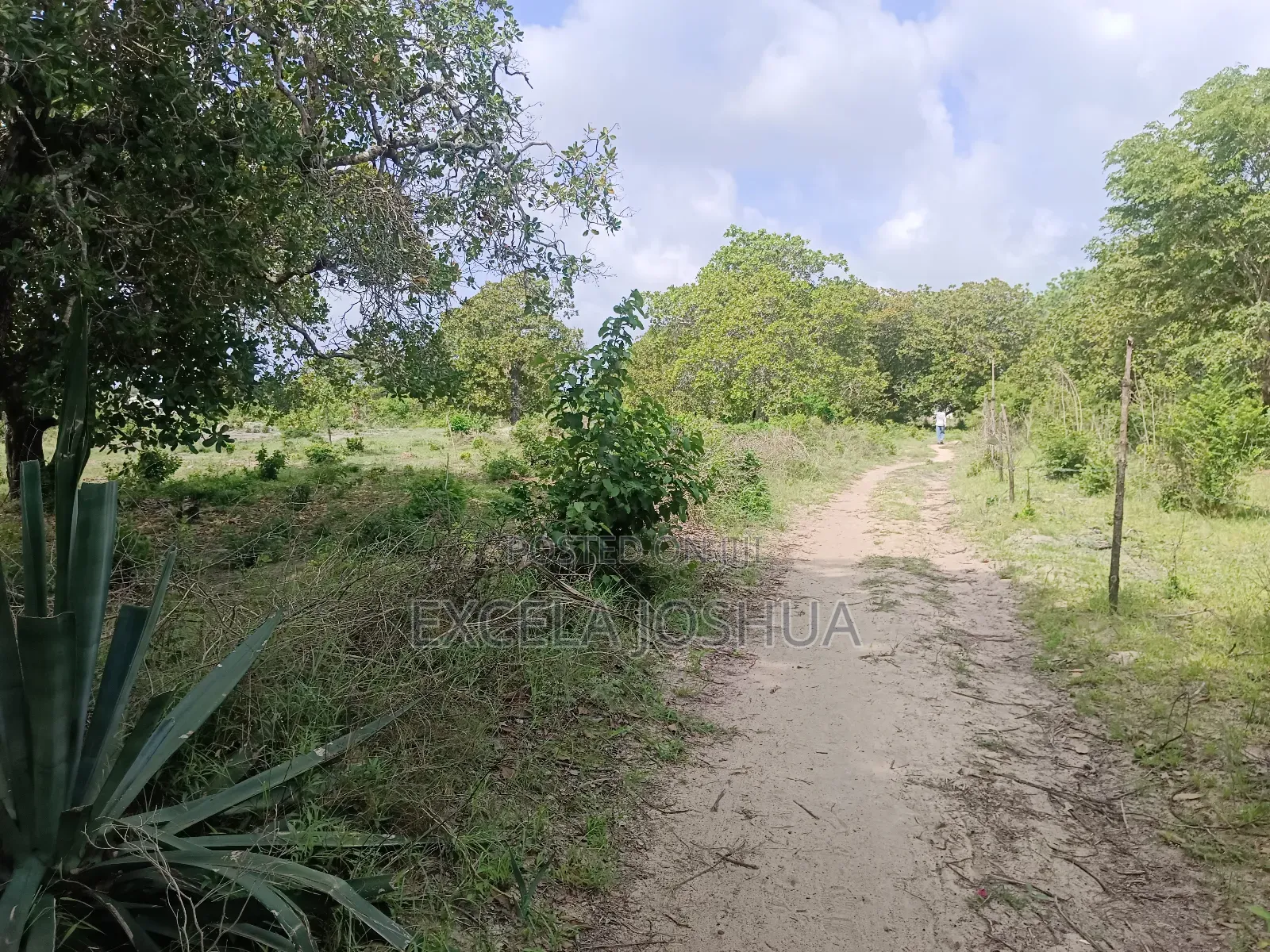 Viwanja Vinauzwa Bagamoyo Fukayosi