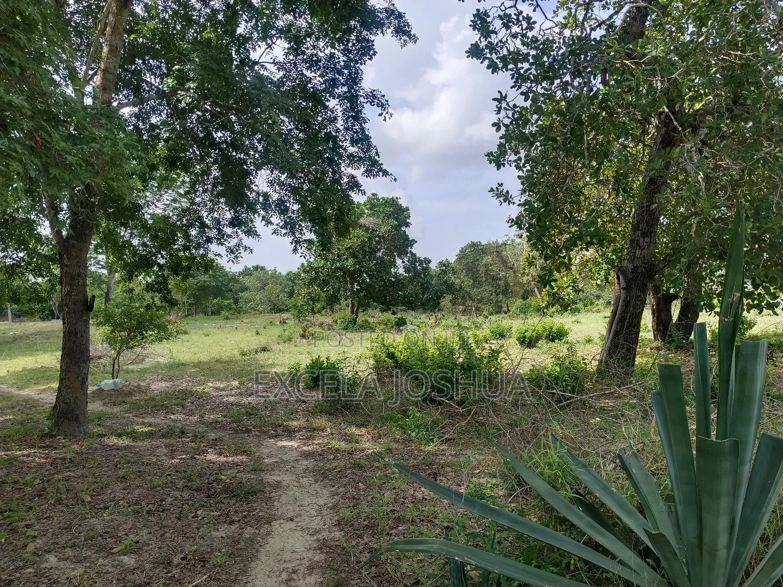 Viwanja Vinauzwa Bagamoyo Fukayosi