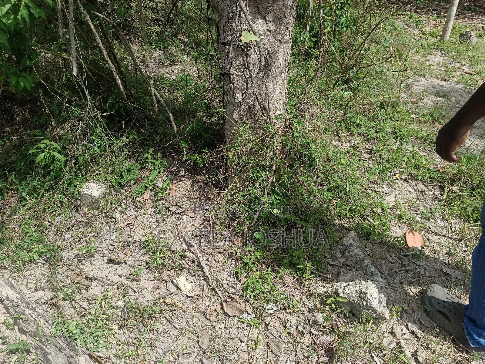 Viwanja Vinauzwa Bagamoyo Fukayosi