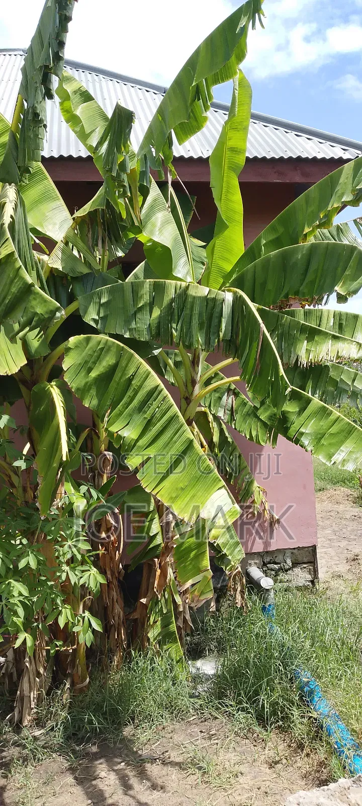 3bdrm House in Mark Real Estate, Kibaha for sale