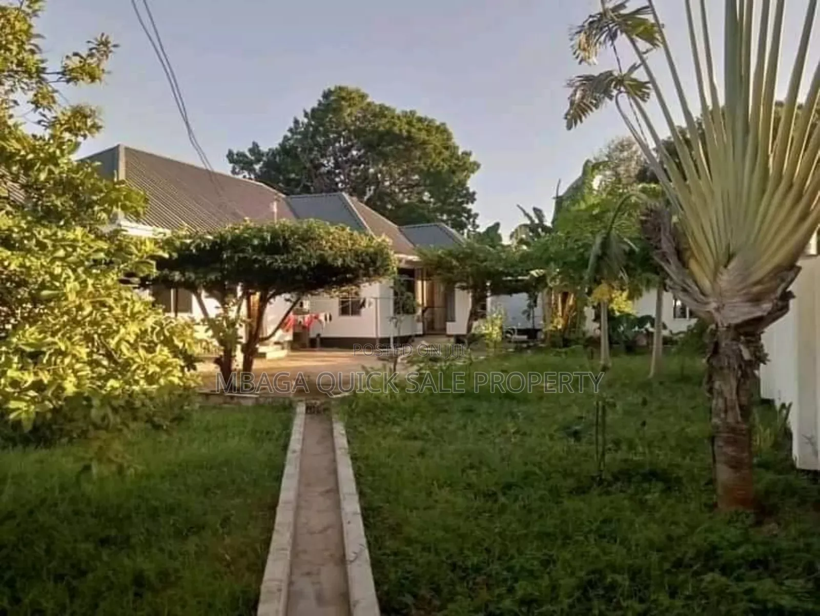 3bdrm House in Msasani for rent