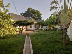 3bdrm House in Msasani for rent