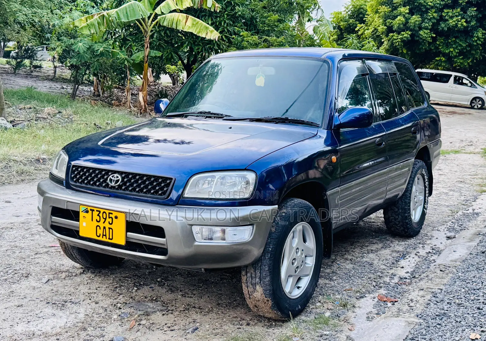 Toyota RAV4 Cabriolet 1998 Blue