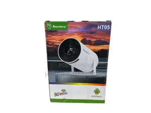 Smartbarry Projector