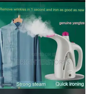 Iron Steamer , Portable