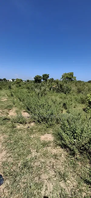 Eneo La Viwanda Linauzwa Bagamoyo Zinga