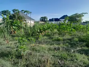 Kiwanja Kinauzwa Kigamboni Kibada