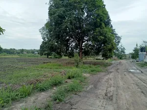 Kiwanja Mkeka Kibamba Karibu Na Lami