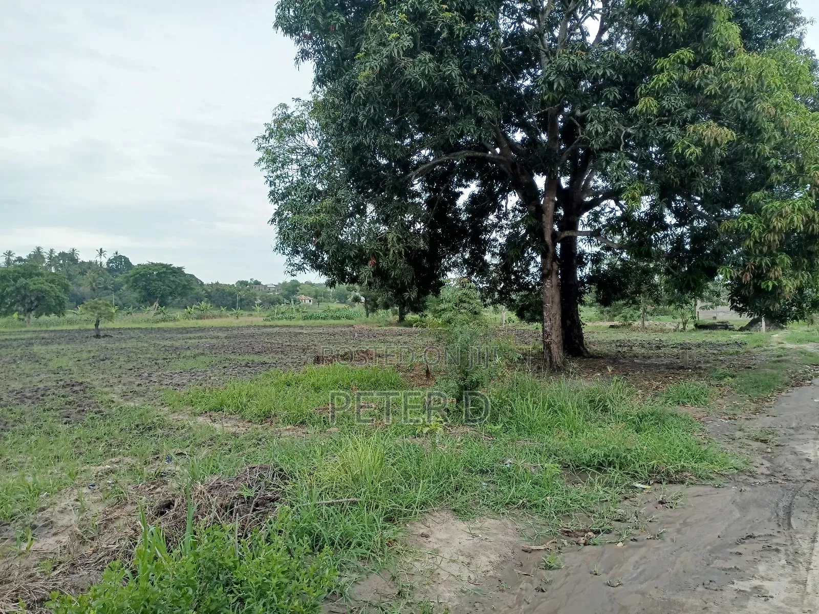 Kiwanja Kibamba Shule Sqm800