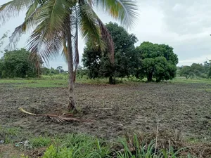 Kiwanja Kibamba Shule Sqm800