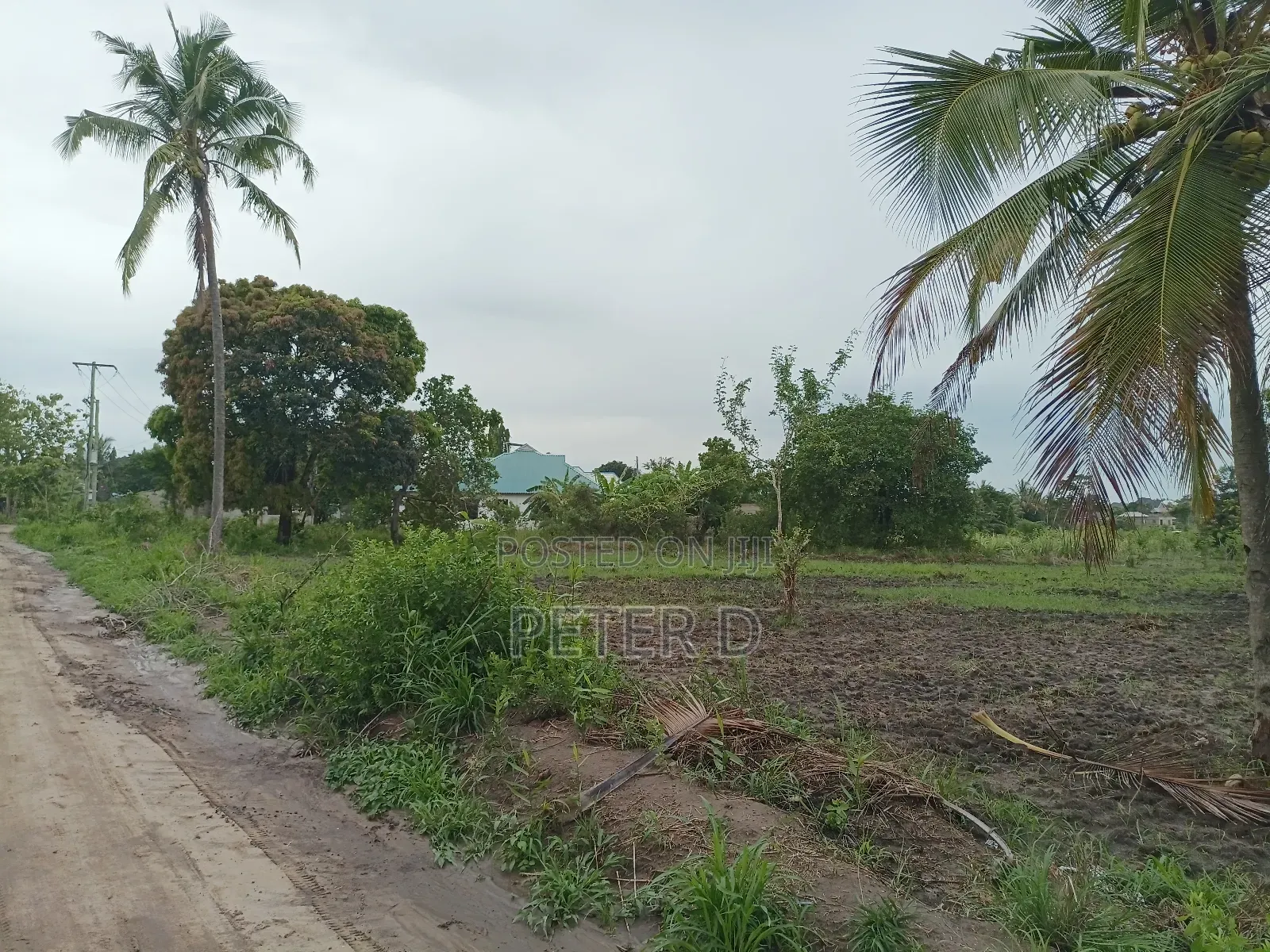 Kiwanja Kibamba Shule Sqm800